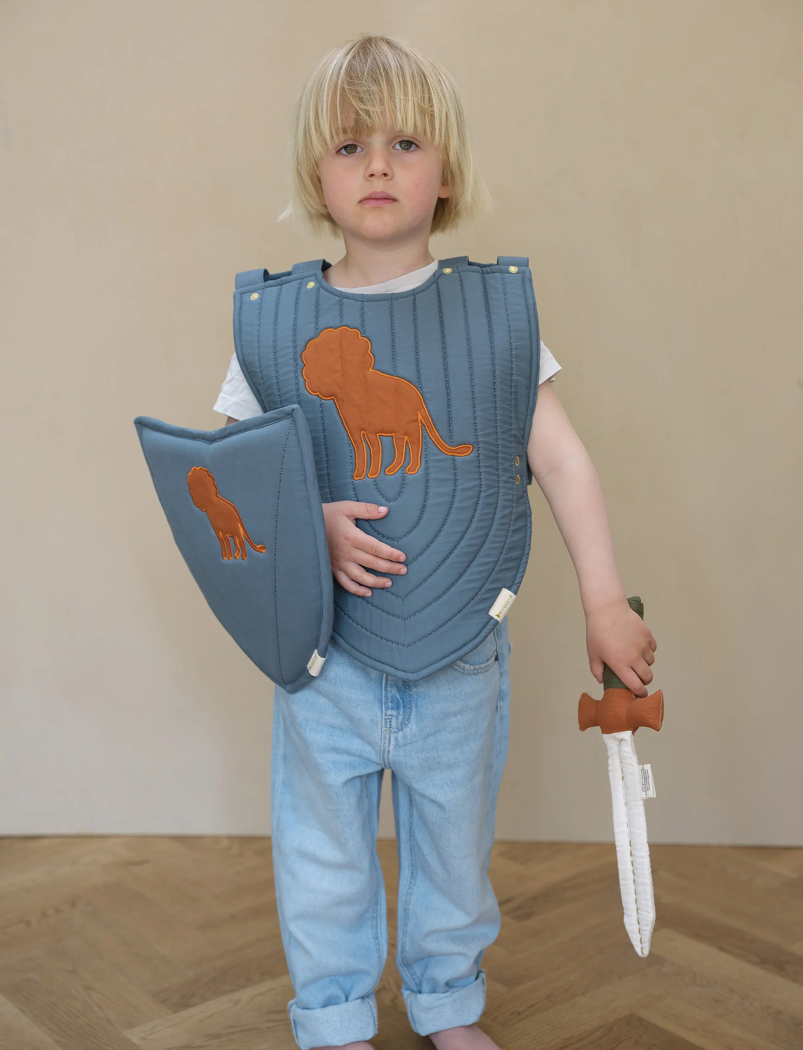Dress Up - Shield and Sword - Lion - Image 2