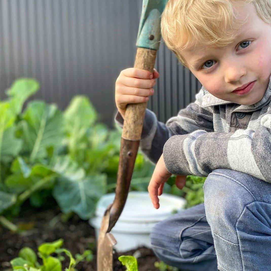 Kids Croppers Grow Kit - Image 3