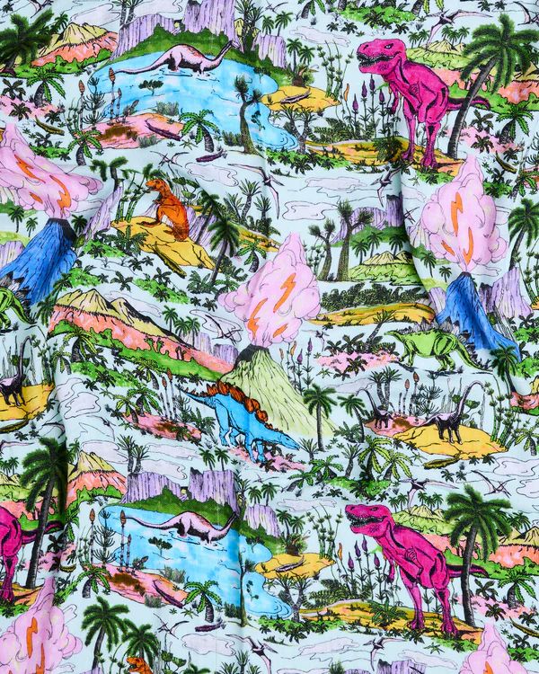 Bamboo Swaddle - Jurassic - Image 3