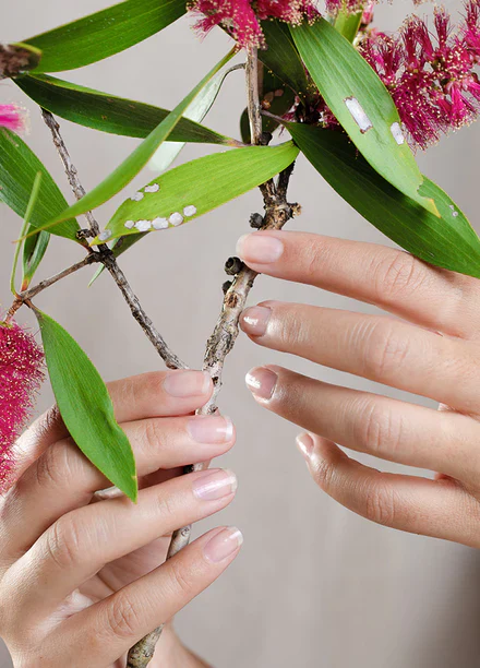 Nail Strengthener - Image 4