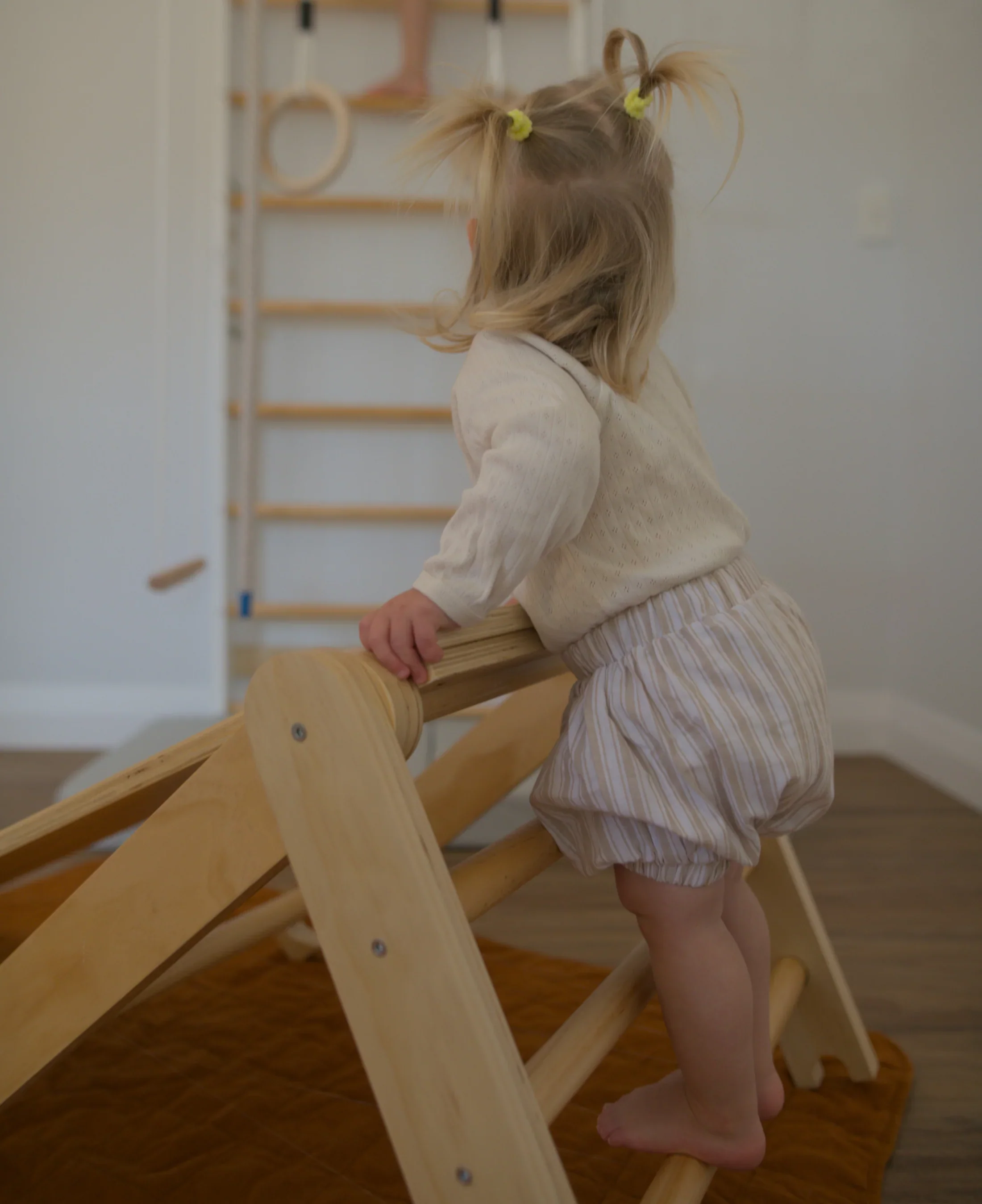 Swedish Ladder Combo - Image 7