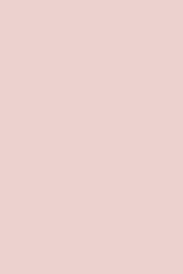 The Mixer in Blush - Image 4