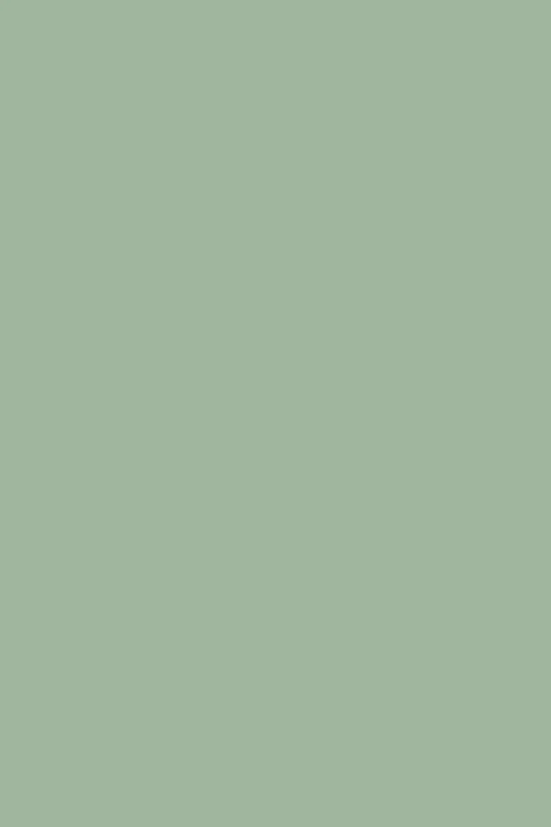 The Skinny in Sage - Image 8